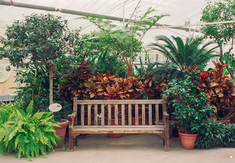 Conservatory filled with plants and a wooden garden bench, illustrating conservatories for homes in Gateshead